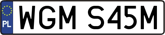 WGMS45M