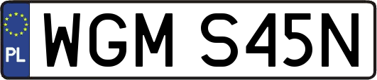 WGMS45N