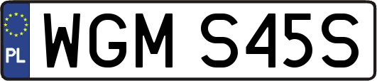WGMS45S