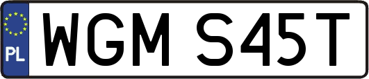 WGMS45T