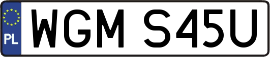 WGMS45U