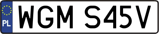 WGMS45V