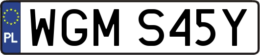 WGMS45Y