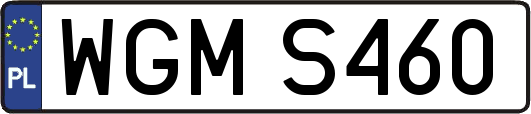 WGMS460
