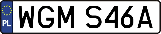 WGMS46A