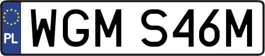 WGMS46M