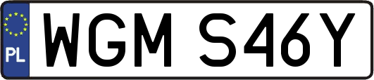 WGMS46Y