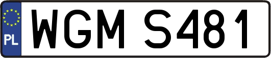 WGMS481