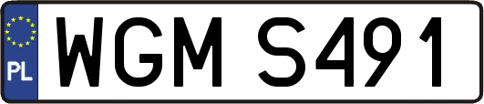 WGMS491