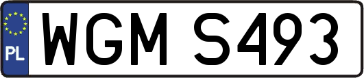 WGMS493