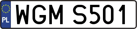 WGMS501
