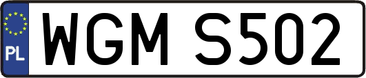 WGMS502