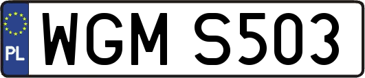 WGMS503