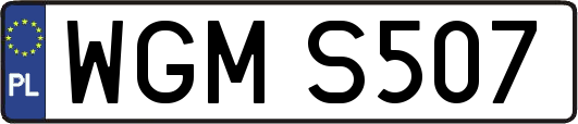 WGMS507
