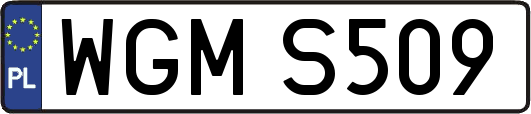 WGMS509