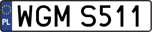 WGMS511