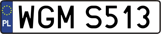 WGMS513