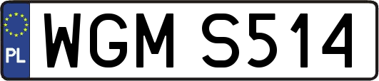 WGMS514
