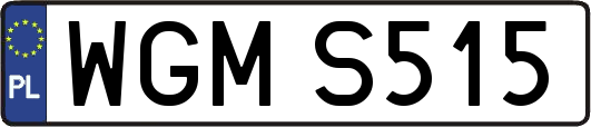 WGMS515