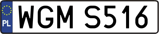 WGMS516