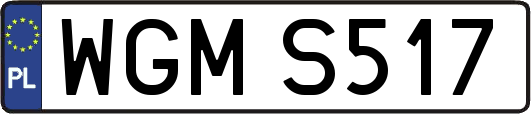 WGMS517