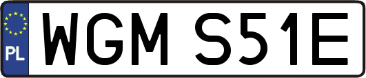 WGMS51E