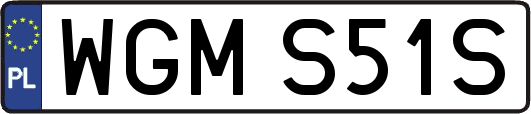 WGMS51S