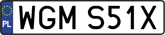 WGMS51X