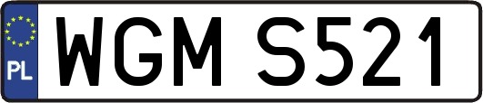 WGMS521