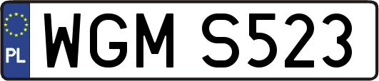 WGMS523