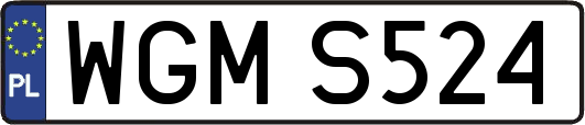WGMS524