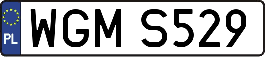 WGMS529