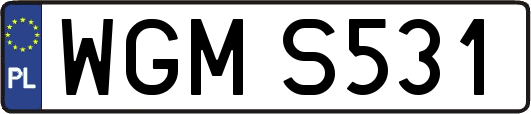 WGMS531