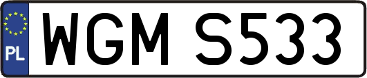 WGMS533