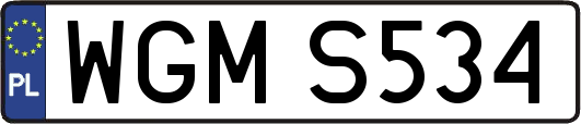 WGMS534