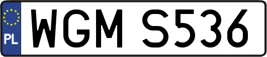 WGMS536