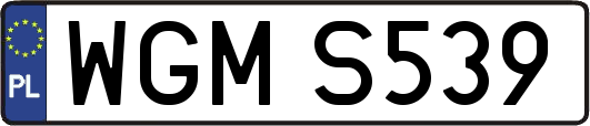 WGMS539
