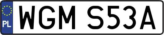 WGMS53A