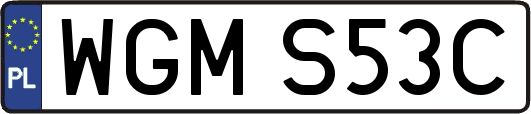WGMS53C