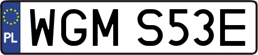 WGMS53E