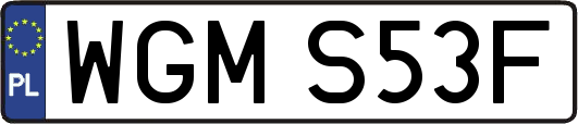 WGMS53F