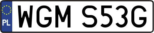 WGMS53G