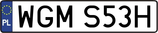 WGMS53H