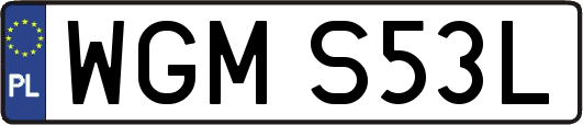 WGMS53L