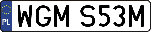 WGMS53M