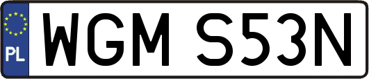 WGMS53N