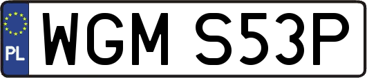 WGMS53P