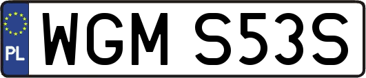 WGMS53S