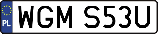 WGMS53U