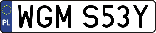 WGMS53Y